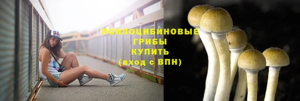 круглые Абдулино