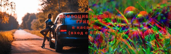 mix Пестово