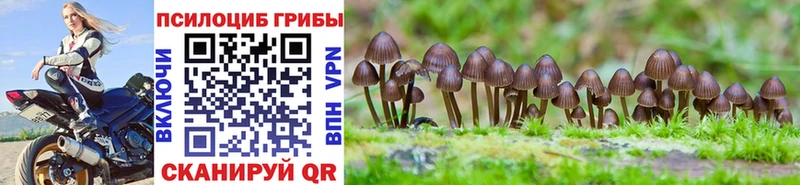MEGA как зайти где продают Уфа Галлюциногенные грибы GOLDEN TEACHER