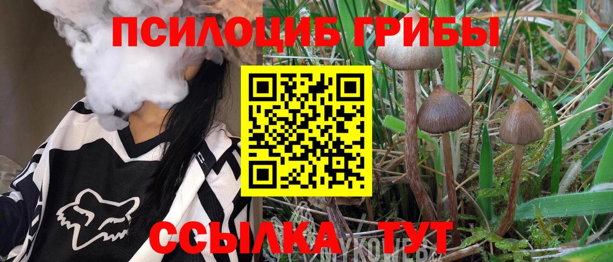Псилоцибиновые грибы прущие грибы  Вход с VPN  Псилоцибиновые грибы Cubensis  Уфа 